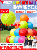 [台灣公司貨 可開發票]PGM 正品高爾夫彩色球 全新高爾夫彩球 二/三層練習球 多色實心球