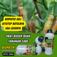 Obat Busuk Buah Cabe Keriting Paling Ampuh BIOPATEK 500ML Fungisida dan Bakterisida Hayati Obat Semp