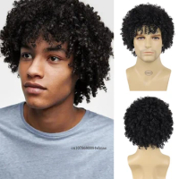 Black Afro Curly Synthetic Wig for Men Cosplay Costume Party Halloween 70s Funny High Temperature Fiber Hair Replacement Wigs