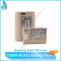 2250mAh TDMW-BLK22 DMW BLK22 Battery TYPE-C Rechargeable Battery for Panasonic Lumix DC-S5 DC-S5 II DC-S5 IIX GH5 II GH6 S5II