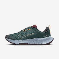 Nike Juniper Trail 2 GTX [FB2067-300] 男 慢跑鞋 戶外 越野 防水 耐磨 綠橘