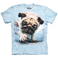 摩達客-美國The Mountain 水中巴哥犬 兒童版純棉環保短袖T恤