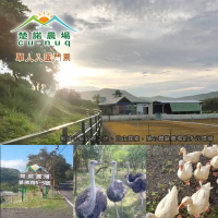 【屏東】楚諾農場-入園門票 2張/組