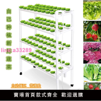 {可開發票}新款無土栽培設備家庭陽臺管道式種植架水培蔬菜自動化多層水耕機