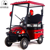 台灣公司/開發票 四輪電動代步車 小巴士E600高檔電動四輪車  老人代步車  方向盤款景區觀光高爾夫球車