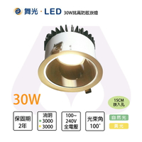 舞光 LED 30W 15cm 防眩崁燈 適用5米 黃光/自然光 全電壓〖永光照明〗%MT2-LED-25123