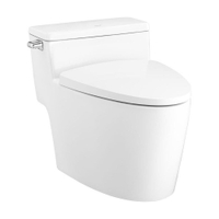 C105257สุขภัณฑ์ชิ้นเดียว4.8L RIVIERA PRO