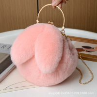 Plush Bunny Bag for Women, Crossbody Autumn Winter New Chain Handbag, Cute Crossbody Bunny Ear Clutc