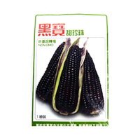 【蔬菜工坊】G26.黑寶甜珍珠糯玉米種子