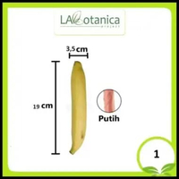 Jual Soft Realistic Large And Medium Size Dild0 Alat Bantu Toys Realistic Pen!S With Panties Couple 