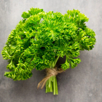Parsley Segar 100gr Fresh Parsley Leaf Wangi Cocok Masakan & Garnish Premium
