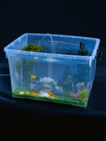 家用烏龜缸大型鱷龜巴西龜專用生態塑料烏龜周轉箱高透明仿玻璃缸
