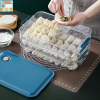 餃子盒冷凍盒冰箱用食品級裝水餃盒保鮮盒多層托盤批發價
