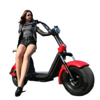 Fashion Electric Scooter Fat Tire E Motorcycle 1000W For Adults Bike
