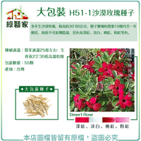 【綠藝家】大包裝H51-1.沙漠玫瑰種子55顆