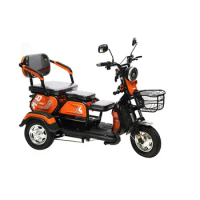 High Quality Custom 2 Seat Premium Aluminum Adult Small 3 Wheel Electric Bike Tricycle