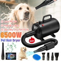 Hot Sale Pet Hair Dryer Dogs Pet Dog Cat Grooming Blower Warm Wind Secador Fast Blow-Dryer Dog Dryer