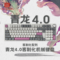 電腦鍵盤 機械鍵盤 鍵盤 辦公鍵盤 SKN青龍4.0鍵盤 98無線三模機械鍵盤電腦辦公/電競鍵盤RGB背光