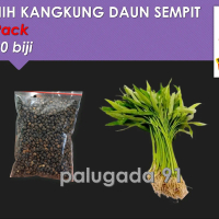 Benih Kangkung Repack 20 Gram - Cocok untuk Ditanam di Halaman Rumah - Tanaman, Bunga