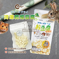 冷凍乾燥豆腐 Canary 井本小動物磨牙點心系列 豆腐丁 豆腐塊 倉鼠零食 小寵零食 鼠兔 天竺【亞米屋Yamiya】