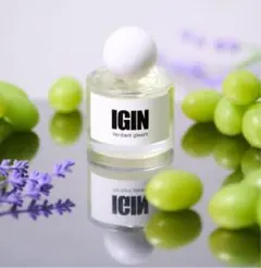 igin jinの価格比較なら-2026年1月 | BigGo日本