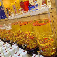 用酒瓶帶龍頭20斤40斤30斤裝酒容器密封罐人參玻璃酒瓶