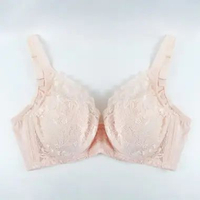 The Brahouse Bra Full Cup B01-1722D - Cup D 40D/090 Ric