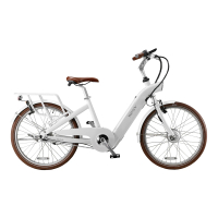 BESV 達瑞 BESV 達瑞 CF1 LENA 電動輔助自行車(智慧動能自行車/鋰電池電動輔助自行車)