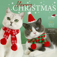 『台灣x現貨秒出』針織毛球聖誕雪花/格紋寵物圍巾 寵物領巾 寵物聖誕領巾 貓領巾 狗領巾