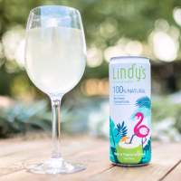 【Lindy's】100%椰子水(6入組)