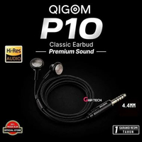 QIGOM P10 HIFI Earphones Flathead, 15.4MM 32ohm 116dB, Large-size Driver Unit, Fit Ear-canal, Wired