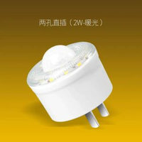 內地直送 - 智慧人體感應光控插座插電led小夜燈燈泡過道自動樓梯樓道衛生間