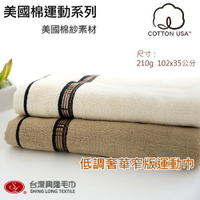 美國棉．低調奢華窄版運動毛巾(單條包裝) 【台灣興隆毛巾製】