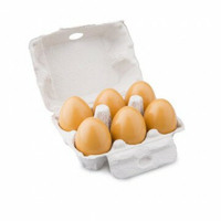 《荷蘭 New Classic Toys》盒裝雞蛋6顆10596 東喬精品百貨