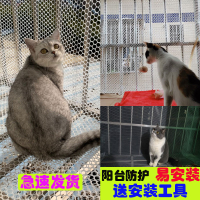封窗網防逃網防護網陽臺窗戶防止貓咪圍欄網防貓跳窗跳樓塑料網格