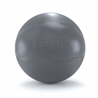 Gym Ball  ขนาด 65 ซม. - สีเงิน