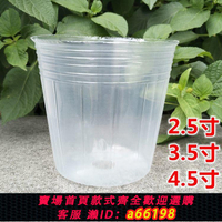 【台灣公司 可開發票】蝴蝶蘭花專用花盆育苗營養杯種植杯石斛蘭花拼組透明塑料營養缽