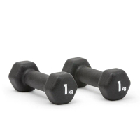 【adidas 愛迪達】六角健身啞鈴(1kg/2入)