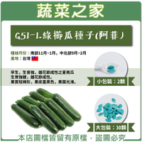【蔬菜之家】G51-1.綠櫛瓜種子(阿菲) (共有2種包裝可選)