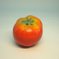 《食物模型》POLY 大蕃茄 水果模型 - BP1039L