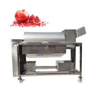 1000KG/H Capacity Commercial Pomegranate Peeling Machine Fresh Pomegranates Juice Seeds Separating Peeler Machine