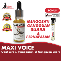 Obat Burung Serak Maxi Voice Mengobati Gangguan Pita Suara Burung dan Masalah Pernapasan | Smart Mas