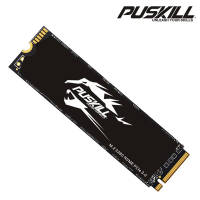 Practical PUSKILL SSD M.2 NVMe 1TB 512GB 256GB 128GB PCIe M2 2280 Hard Disk Internal Solid State Dri