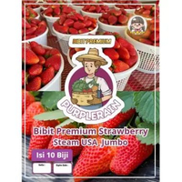 Bibit Premium Strawberry Steam USA Jumbo|Strobery Amerika|Strawberry Jumbo