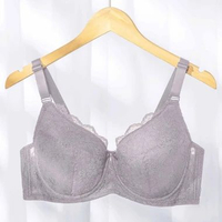 Sorella Bra Secret Pandora Wired Full Cup S11-29904D - Cup D 40D/090D Ash Purple