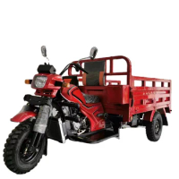 Truck Tricycle 200CC/250CC/300CC Three Wheeler Gasoil Tricycle Cargo Motorcycle Heavy Loadingcustom