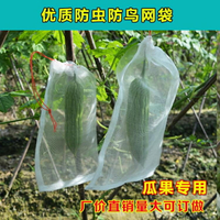 買一送一防鳥網 10個裝防蟲網防蟲袋 尼龍網袋 瓜果防果蠅防鳥袋濾網浸種 葡萄水果套袋 美物居家
