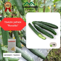 Benih Timun Jepang (repack)