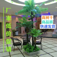 仿真椰子樹室內外熱帶綠植假盆栽植物大型裝飾酒店落地假樹棕櫚樹