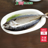 NG 鯖魚一夜干 200g~450g/包   約6kg/箱(足重出貨) 約13-20包【愛買冷凍】